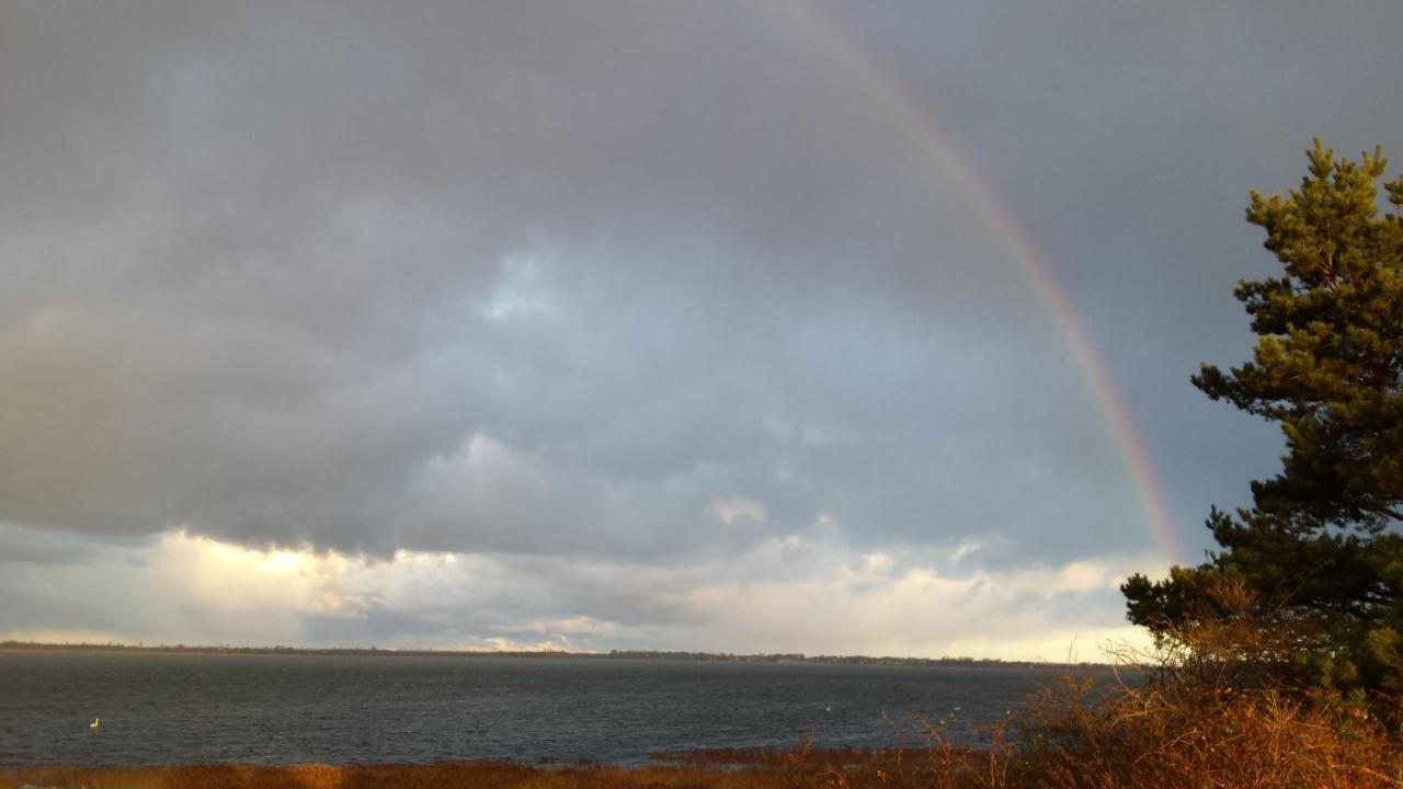 Ostseehaus Odin Doppelhaushaelfte Wiek auf Rügen 외부 사진